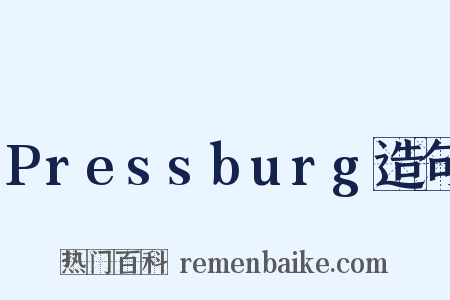 Pressburg造句是什么意思的图片